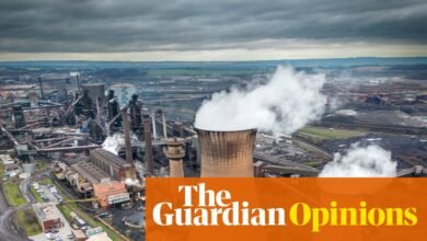 Uncertainty Looms Over British Steel’s Future: Nils Pratley Raises Concerns and Questions